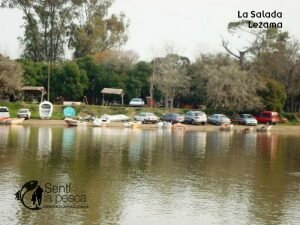 LEZAMA LA SALADA