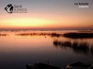 LEZAMA LA SALADA2