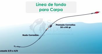 LINEA DE FONDO PARA CARPA dest