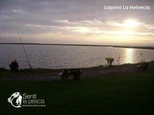 Laguna La Helvecia1