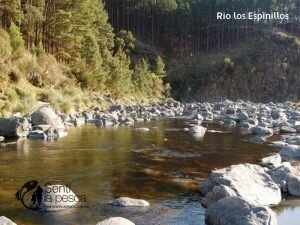 Río Los Espinillos