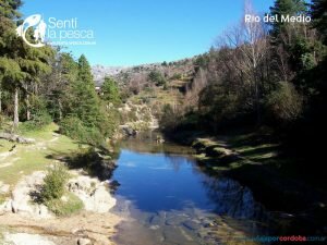 Río del Medio