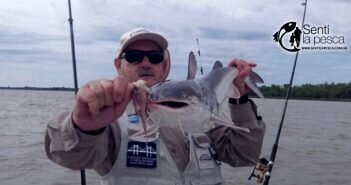 TIPS BAGRE DE MAR GUAZU dest
