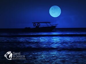 navegacion noctun (3)