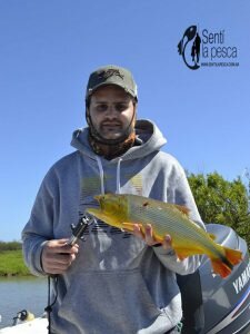 161101 DORADOS Y TARUS EN GUALEGUAY