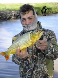 161101 DORADOS Y TARUS EN GUALEGUAY3