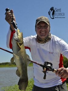 161101 DORADOS Y TARUS EN GUALEGUAY6