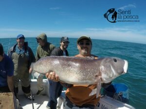 161101 EMBARCADOS EN MDQ3