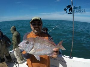 161101 EMBARCADOS EN MDQ5