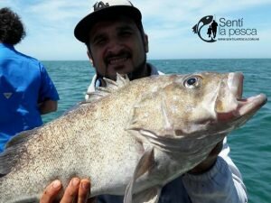 161101 EMBARCADOS EN MDQ8