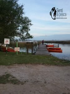 161102 TARUS EN KAKEL HUINCUL14