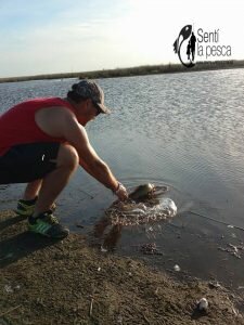 161102 TARUS EN KAKEL HUINCUL5