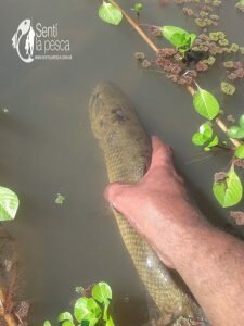 161108 FINDE EN FIGHIERAS2