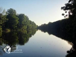 161108 INICIO DE TEMPORADA EN VILLA PARANACITO2
