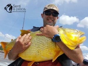 161121 DORADOS EN LA ZONA9