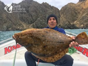 NOVIEMBRE FISHING TOUR ISLA ROBINSON16