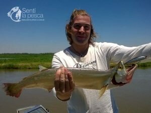 161201 PESCA EN ROSARIO