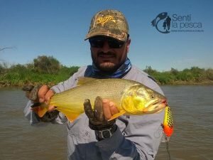 161201 PESCA EN ROSARIO3