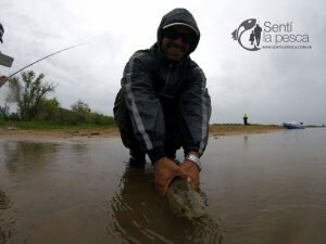 161201 PESCA EN ROSARIO6