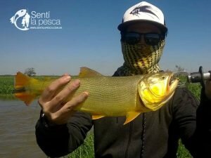161201 PESCA EN ROSARIO7