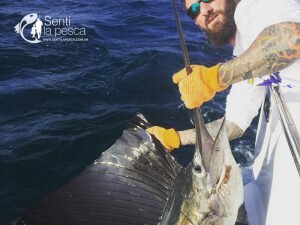 161215 AQUAFISH FISHING TOUR 2016