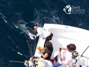 161215 AQUAFISH FISHING TOUR 201616