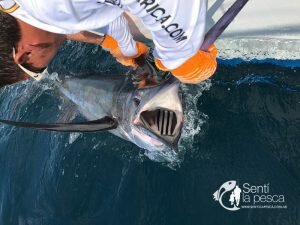 161215 AQUAFISH FISHING TOUR 201618
