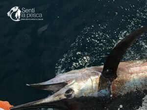 161215 AQUAFISH FISHING TOUR 20163