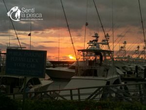 161215 AQUAFISH FISHING TOUR 20166
