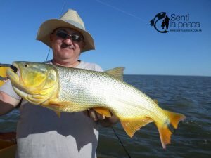 161221 TARUS Y DORADOS EN RIO HONDO
