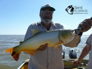 161221 TARUS Y DORADOS EN RIO HONDO1