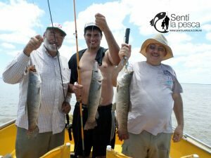 161221 TARUS Y DORADOS EN RIO HONDO4
