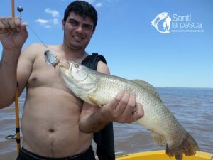 161221 TARUS Y DORADOS EN RIO HONDO7