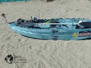 161222 ABRIMOS TEMPORADA TIBURONES