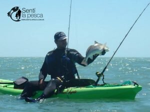 161222 ABRIMOS TEMPORADA TIBURONES13