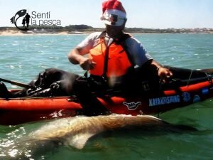 161222 ABRIMOS TEMPORADA TIBURONES21