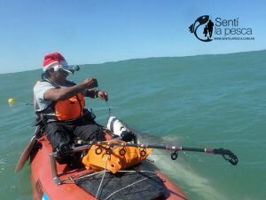161222 ABRIMOS TEMPORADA TIBURONES23