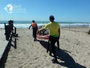 161222 ABRIMOS TEMPORADA TIBURONES3