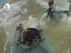 161222 ABRIMOS TEMPORADA TIBURONES5