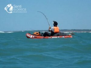 161222 ABRIMOS TEMPORADA TIBURONES6
