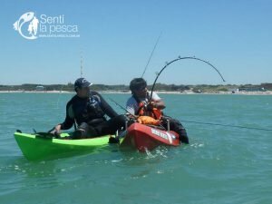 161222 ABRIMOS TEMPORADA TIBURONES7