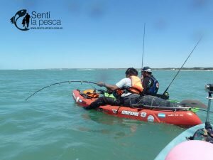 161222 ABRIMOS TEMPORADA TIBURONES9