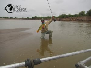 161229 PESCA EN SANTIAGO DEL ESTERO5