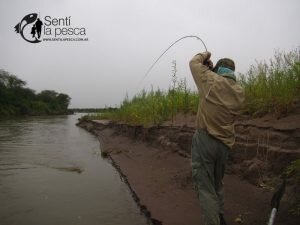 161229 PESCA EN SANTIAGO DEL ESTERO7