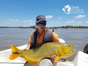 170109 DORADOS DE CONCORDIA