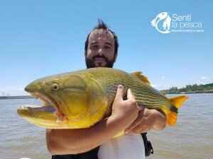 170109 DORADOS DE CONCORDIA2