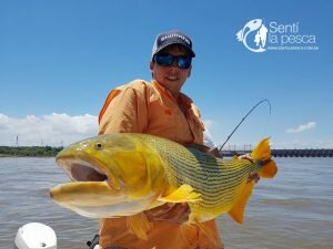 170109 DORADOS DE CONCORDIA5
