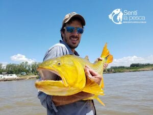 170109 DORADOS DE CONCORDIA7