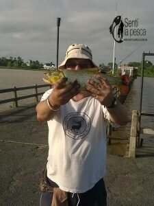 170118 PESCA EN CLUB UNIVERSITARIO