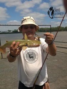 170118 PESCA EN CLUB UNIVERSITARIO1